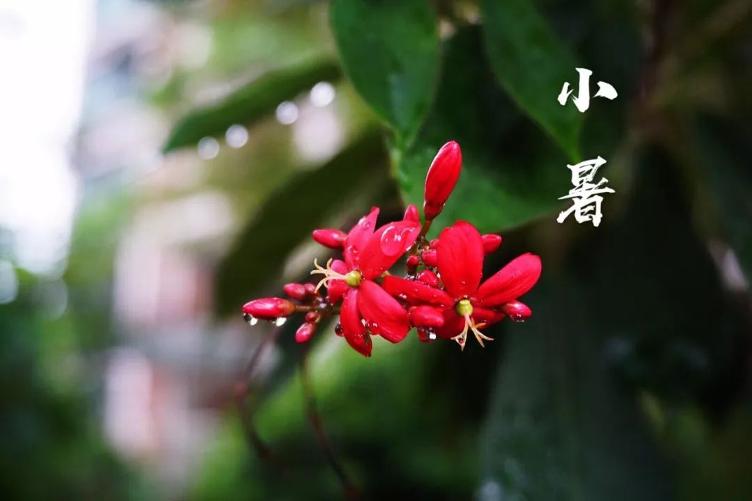 小暑|時(shí)光無涯，KA螺旋錐減速機(jī)廠家